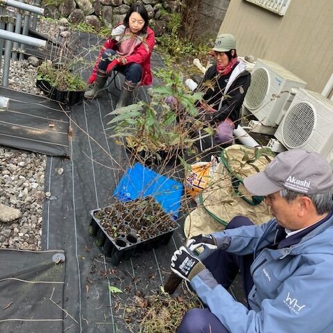 ミズナラとコナラのどんぐり採取 – 山櫻プロジェクト会