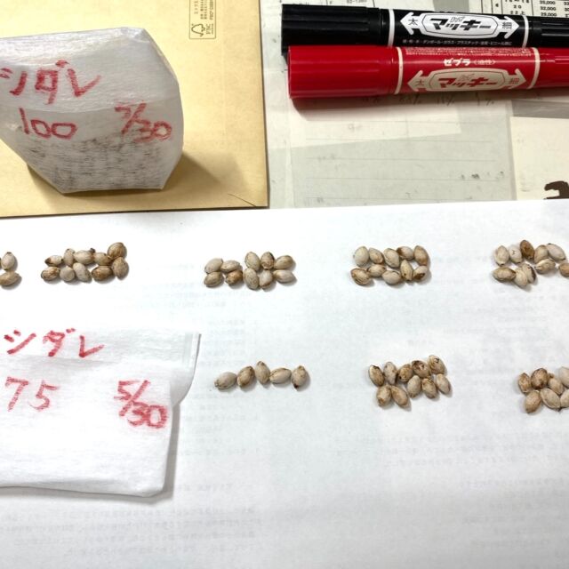 お知らせ – 山櫻プロジェクト会